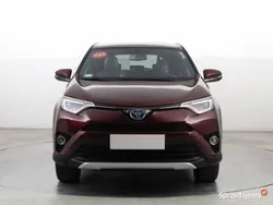 Fioletowy Używany 2016 Toyota RAV4 Hybrid SUV | 87 999 zł (Uczciwa cena)