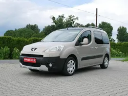 Brązowy Używany 2010 Peugeot Partner Minivan | 20 800 zł (Dość drogi)