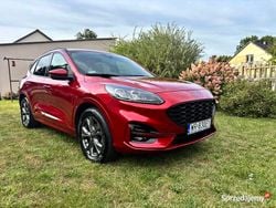Używany 2021 Ford Kuga ST-Line SUV | 99 100 zł (Dość drogi)