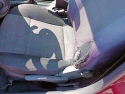 Używany 2000 VW Passat | 3000 zł (Uczciwa cena)