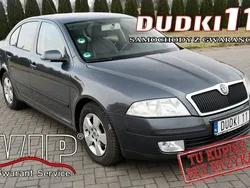 Szary Używany 2006 Skoda Octavia Hatchback | 9900 zł (Dobra cena)