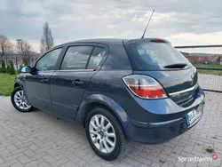 Szary Używany 2009 Opel Astra Edition Hatchback | 16 900 zł (Uczciwa cena)