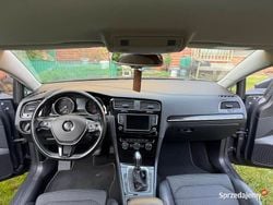 Szary Używany 2016 VW Golf VII Highline Kombi | 38 500 zł (Dobra cena)
