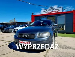 Szary (metalik) Używany 2004 Audi A3 Hatchback | 14 000 zł (Drogi)