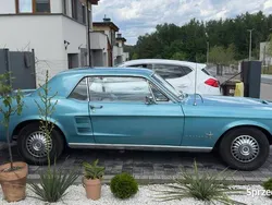 Używany 1967 Ford Mustang | 79 999 zł