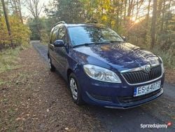 Granatowy Używany 2010 Skoda Roomster Minivan | 14 777 zł (Uczciwa cena)