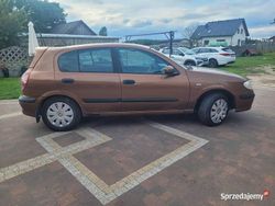 Używany 2000 Nissan Almera | 1300 zł