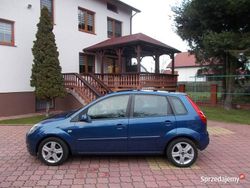 Niebieski Używany 2008 Ford Fiesta Hatchback | 7800 zł (Uczciwa cena)