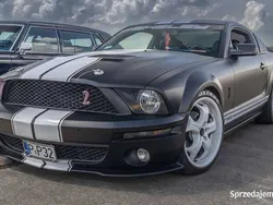 Czarny Używany 2008 Ford Mustang GT Coupe | 65 000 zł