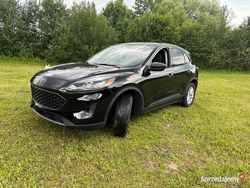 Używany 2022 Ford Escape SUV | 77 800 zł (Drogi)
