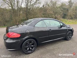 Używany 2008 Peugeot 307 | 8950 zł (Drogi)