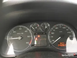 Używany 2007 Peugeot 307 | 6000 zł (Uczciwa cena)