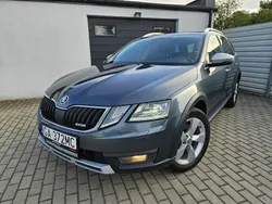Inny Używany 2019 Skoda Octavia Kombi | 59 800 zł (Super Cena)