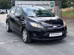 Inny kolor Używany 2009 Ford Fiesta Hatchback | 13 999 zł (Uczciwa cena)