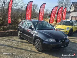 Używany 2004 Seat Ibiza Hatchback | 5999 zł (Uczciwa cena)
