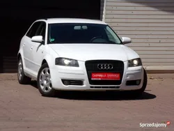 Biały Używany 2008 Audi A3 Comfort Hatchback | 19 900 zł (Uczciwa cena)