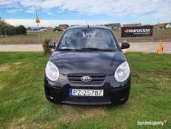 Czarny Używany 2011 Kia Picanto Hatchback | 7999 zł (Uczciwa cena)