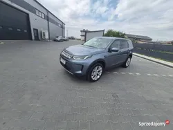 Używany 2023 Land Rover Discovery Sport SUV | 196 554 zł