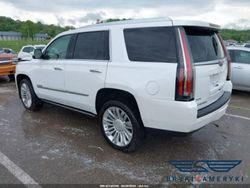 Biały Używany 2016 Cadillac Escalade SUV | 64 930 zł