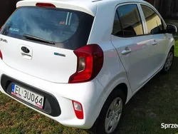 Używany 2019 Kia Picanto 2 Hatchback | 32 900 zł (Dobra cena)