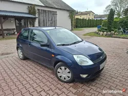 Granatowy Używany 2004 Ford Fiesta Hatchback | 3000 zł (Dobra cena)