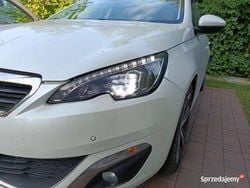 Biały Używany 2016 Peugeot 308 Allure Hatchback | 22 500 zł (Dobra cena)