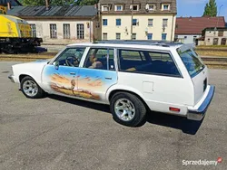 Biały Używany 1979 Chevrolet Malibu Kombi | 29 500 zł