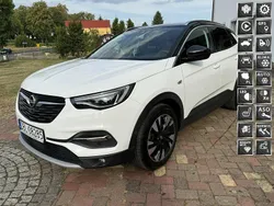 Biały Używany 2019 Opel Grandland X SUV | 83 900 zł (Dość drogi)