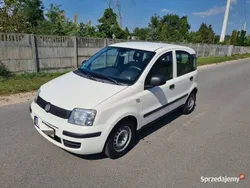 Używany 2012 Fiat Panda Hatchback | 7300 zł (Super Cena)