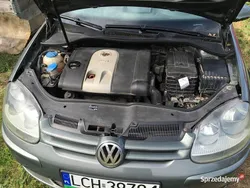 Używany 2004 VW Golf V | 2000 zł