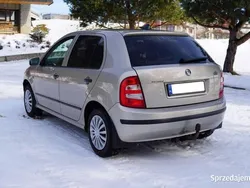 Beżowy Używany 2004 Skoda Fabia Hatchback | 9999 zł (Drogi)