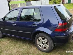 Używany 2001 VW Golf IV | 6650 zł (Drogi)