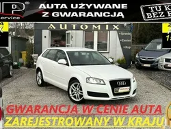 Biały Używany 2009 Audi A3 Hatchback | 24 800 zł (Uczciwa cena)