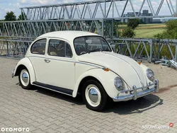 Używany 1966 VW Beetle | 49 000 zł
