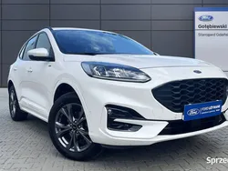 Biały Używany 2022 Ford Kuga ST-Line SUV | 147 300 zł