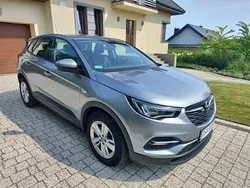 Szary Używany 2019 Opel Grandland X SUV | 55 000 zł (Dobra cena)