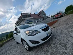 Biały Używany 2011 Opel Meriva Minivan | 20 900 zł (Uczciwa cena)