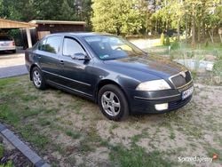 Używany 2006 Skoda Octavia | 10 000 zł (Uczciwa cena)