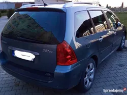 Niebieski Używany 2006 Peugeot 307 Kombi | 5900 zł (Dobra cena)