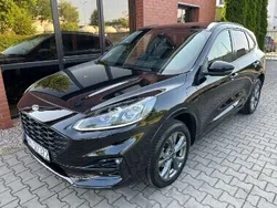 Inny kolor Używany 2023 Ford Kuga SUV | 114 400 zł (Uczciwa cena)