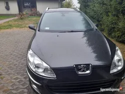Używany 2007 Peugeot 407 | 8900 zł (Uczciwa cena)