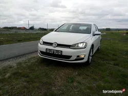 VW Golf VII