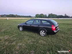 Używany 2004 Nissan Primera | 3650 zł (Uczciwa cena)