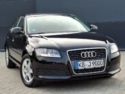 Czarny Używany 2010 Audi A3 Premium Hatchback | 34 900 zł (Dość drogi)
