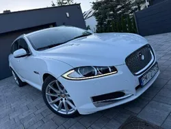 Biały Używany 2015 Jaguar XF Sportbrake Kombi | 49 999 zł