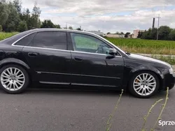 Używany 2001 Audi A4 | 10 100 zł (Uczciwa cena)