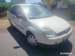 Biały Używany 2003 Ford Fiesta Hatchback | 2200 zł (Dobra cena)