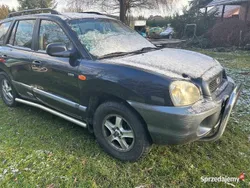 Używany 2004 Hyundai Santa Fe SUV | 8600 zł (Dobra cena)