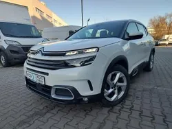Biały Używany 2021 Citroën C5 Aircross Feel SUV | 64 900 zł (Dobra cena)