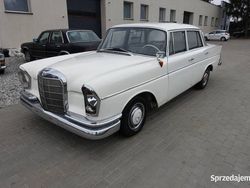 Używany 1962 Mercedes W111 | 26 500 zł
